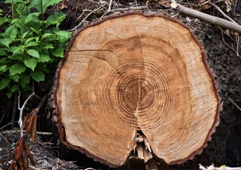 Episode 9: Ring Theory