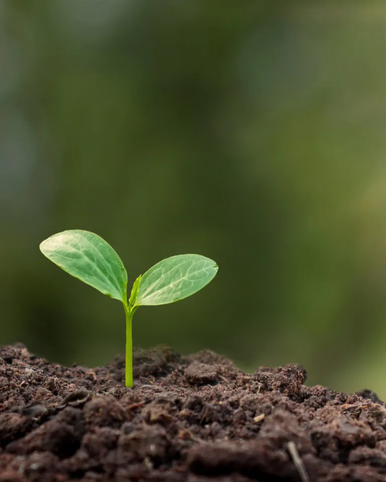 Ep 119  I Didn’t Sign Up for This | Musings on Medical Motherhood